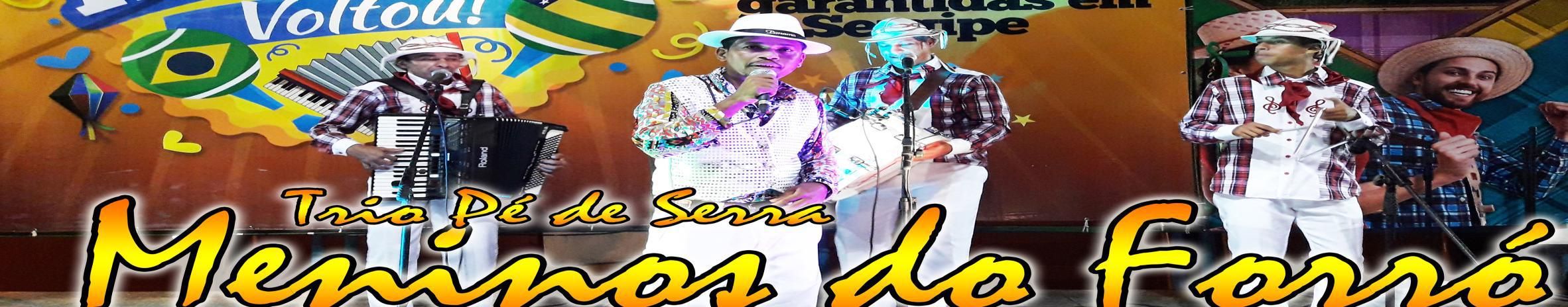 Imagem de capa de Trio pé de serra Meninos do Forró e