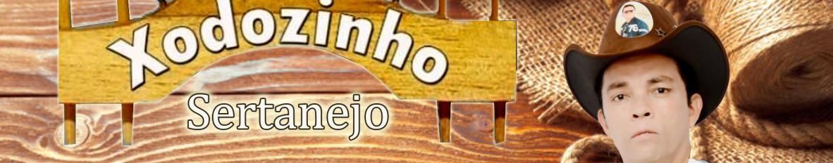 Imagem de capa de Xodozinho