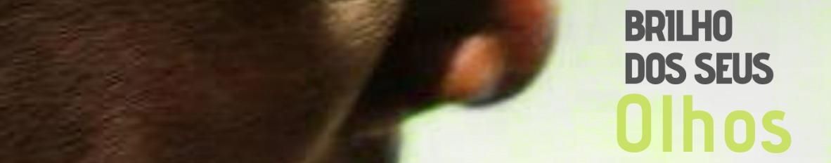 Imagem de capa de Neto Braz