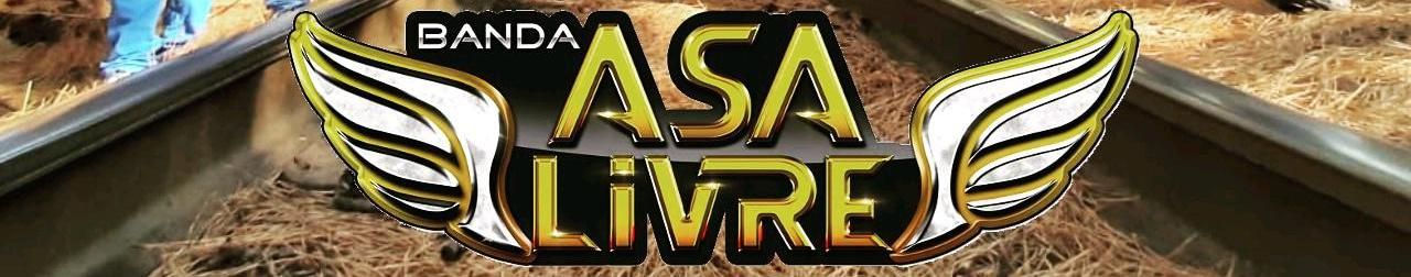 Imagem de capa de Banda Asa Livre