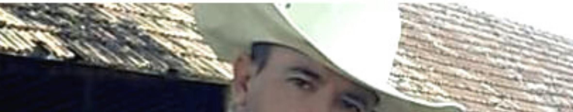 Imagem de capa de Manine