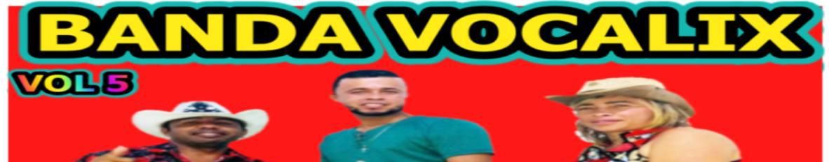 Imagem de capa de Banda Vocalix