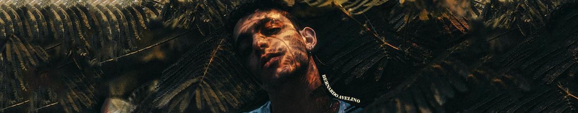 Imagem de capa de Bernardo Avelino