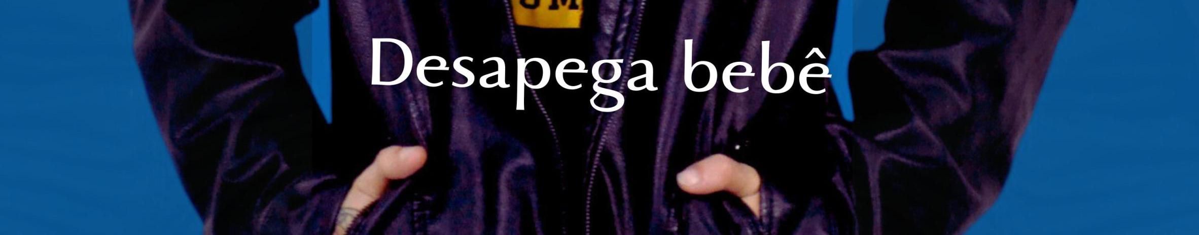 Imagem de capa de Laion Z