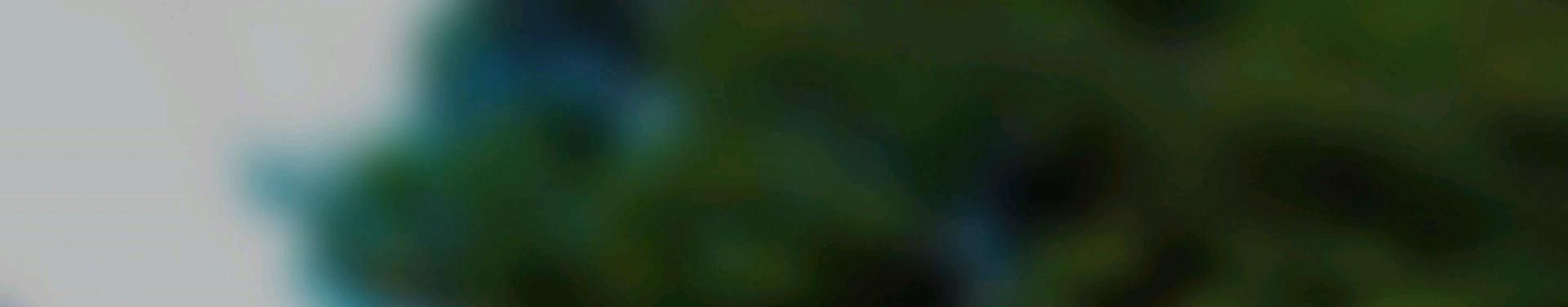 Imagem de capa de Cassimiro