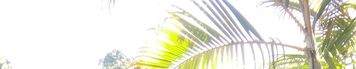 Imagem de capa de Dupla: Marcos & Marineide