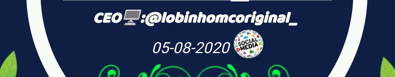 Imagem de capa de Lobinho Na Base