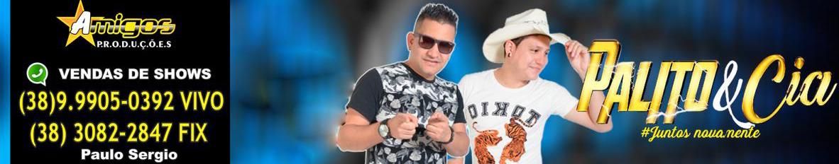 Imagem de capa de PALITO E CIA # JUNTOS NOVAMENTE