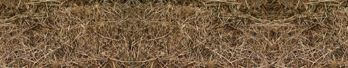 Imagem de capa de edu portel