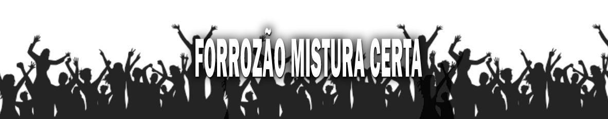 Imagem de capa de FORROZÃO MISTURA CERTA