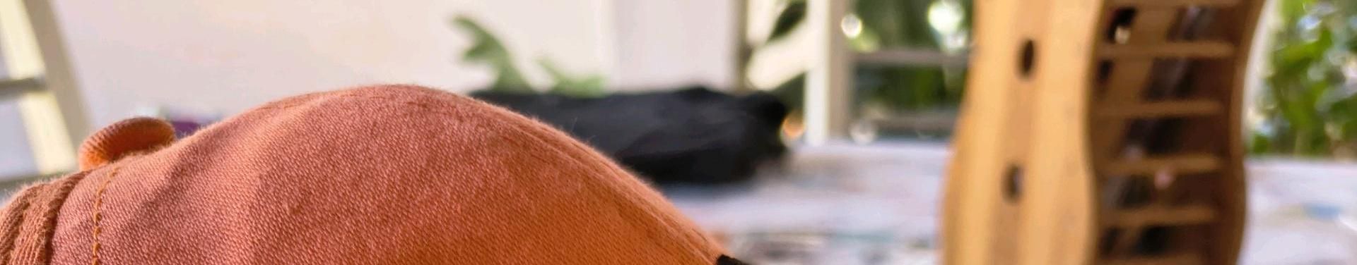 Imagem de capa de Eduard Solus