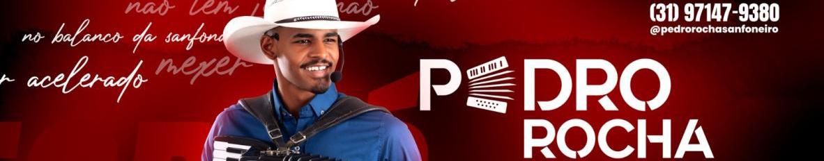 Imagem de capa de Pedro Rocha Sanfoneiro