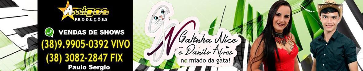 Imagem de capa de Gatinha Nice o Miado da Gata