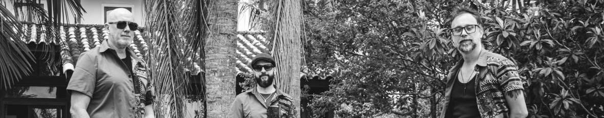 Imagem de capa de Outros Bárbaros