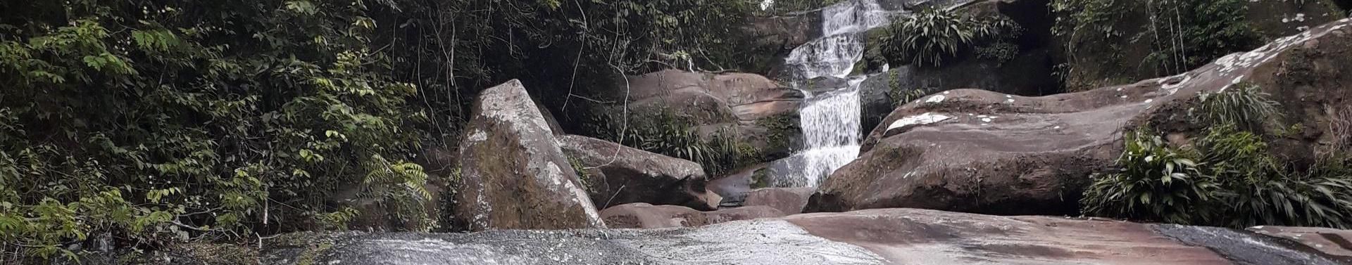 Imagem de capa de Zezito Dos Teclados