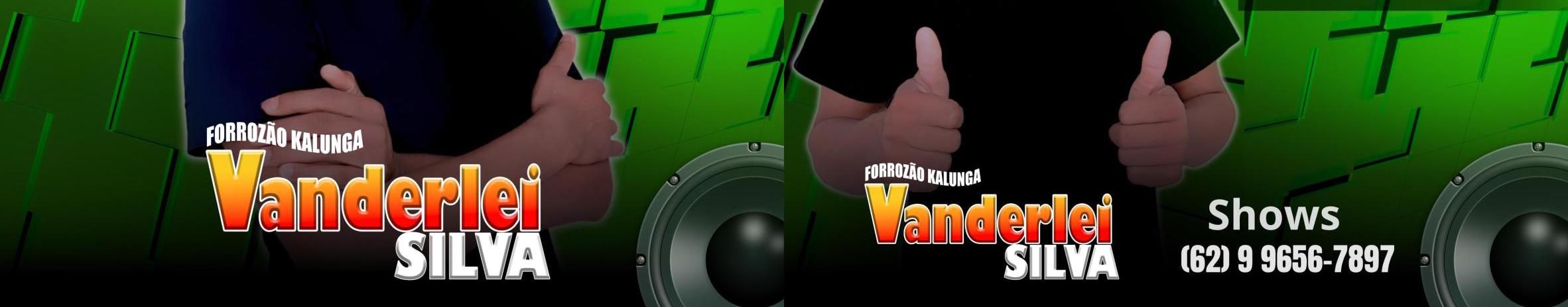 Imagem de capa de vanderlei silva forrozão.com