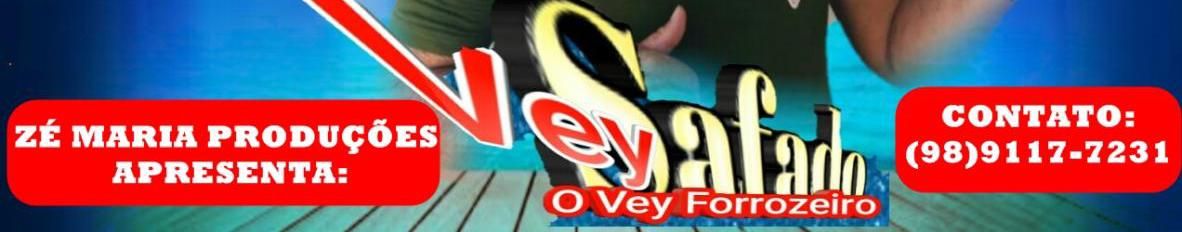 Imagem de capa de Vei Safado o vey Forrozeiro