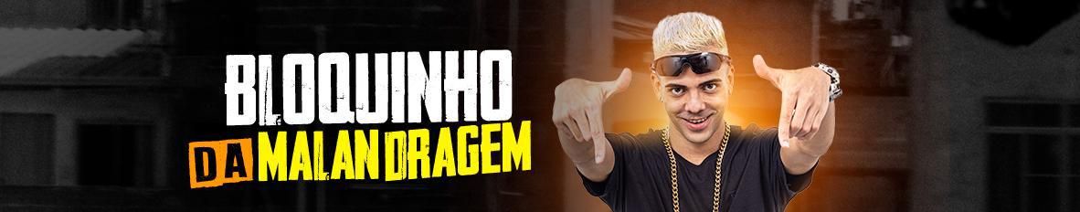 Imagem de capa de O Malandro