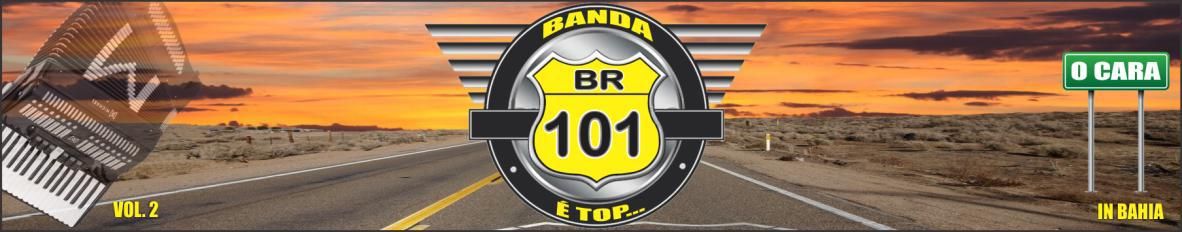 Imagem de capa de BR 101