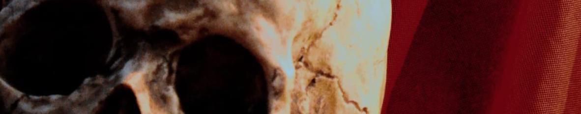 Imagem de capa de Launcelot