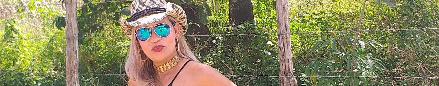 Imagem de capa de Neine Rocha A Cigana Apaixonada