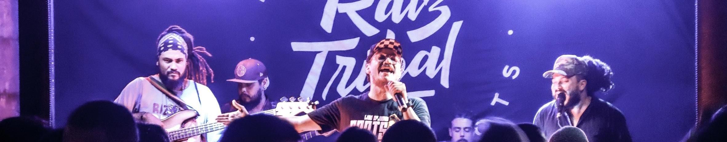 Imagem de capa de RAIZ TRIBAL