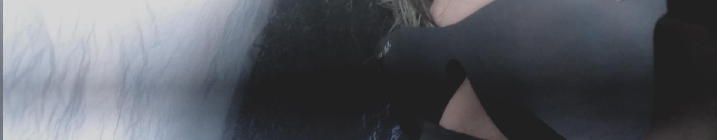 Imagem de capa de Vini Loop