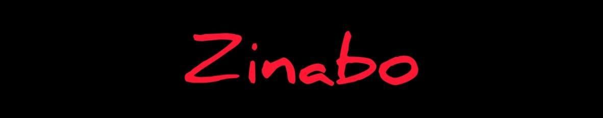 Imagem de capa de Zinabo