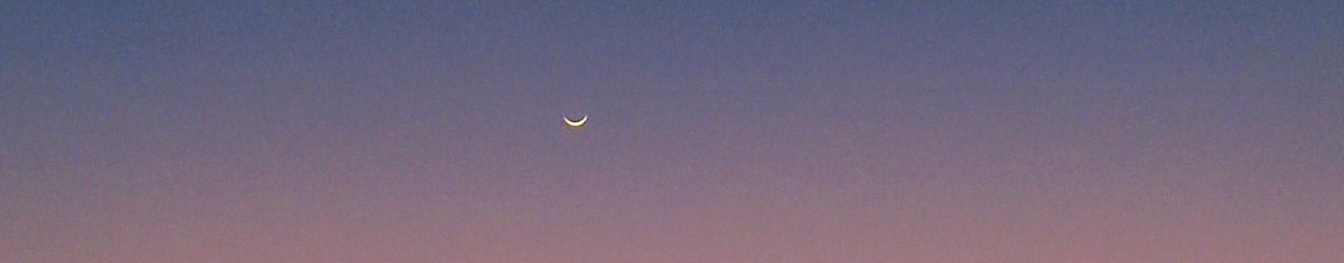 Imagem de capa de Erick