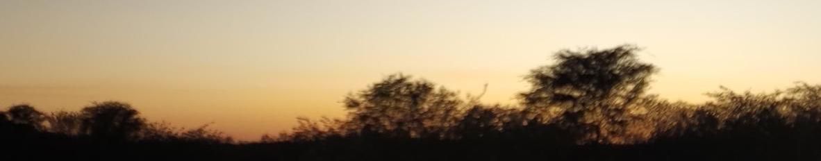 Imagem de capa de Alcantil