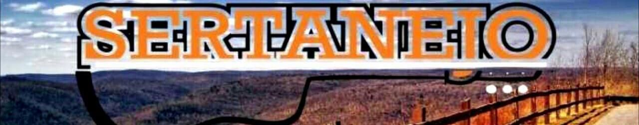 Imagem de capa de Werllon Silva A Fera do Forró