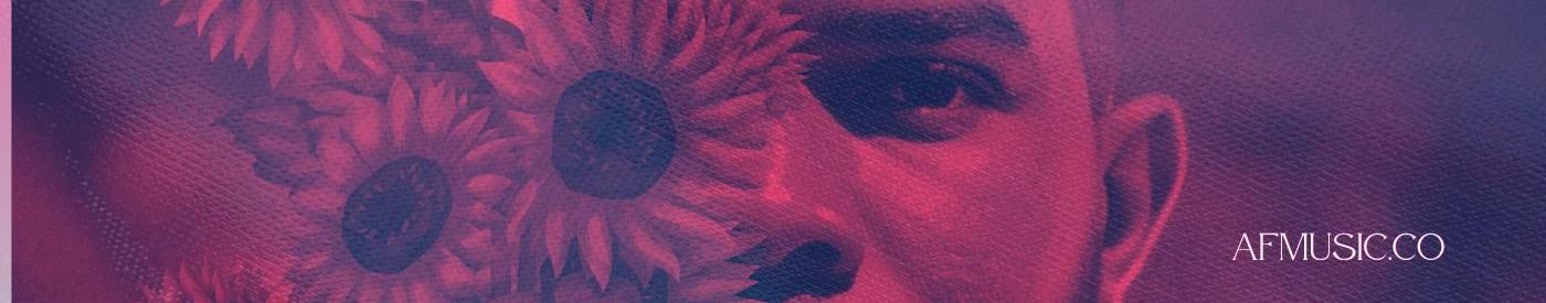 Imagem de capa de Arca de Flow