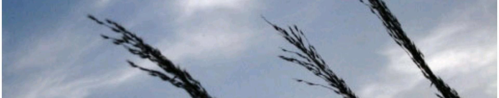 Imagem de capa de Projeto Samaritano