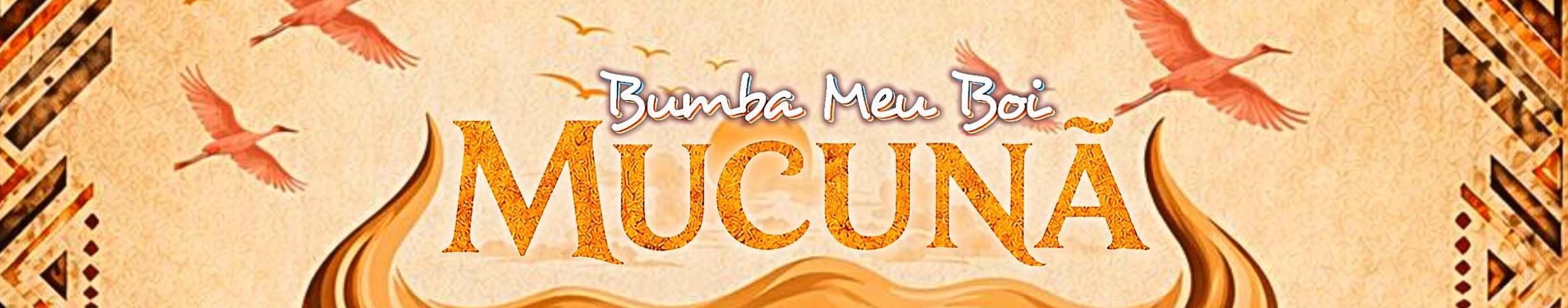 Imagem de capa de Bumba Meu Boi Mucunã