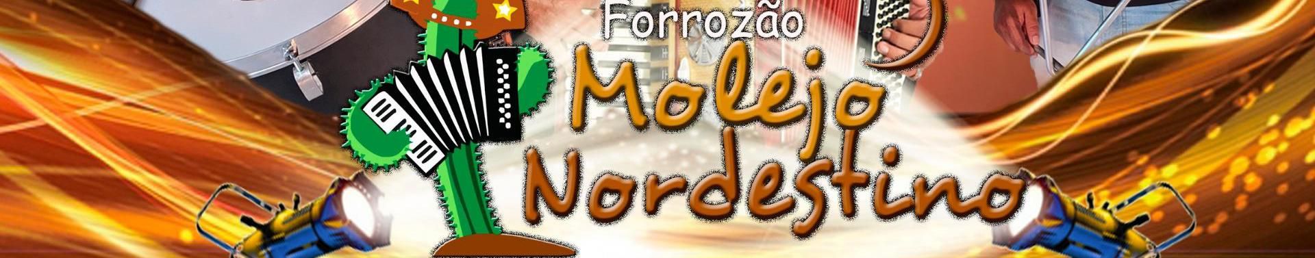 Imagem de capa de Forrozão Molejo Nordestino
