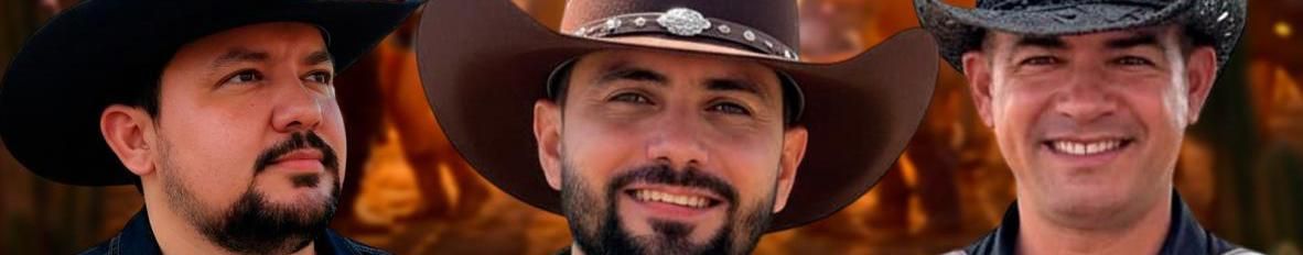 Imagem de capa de Forrozão Na Pegada do Vaqueiro