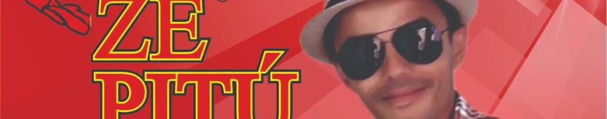 Imagem de capa de ZE PITU