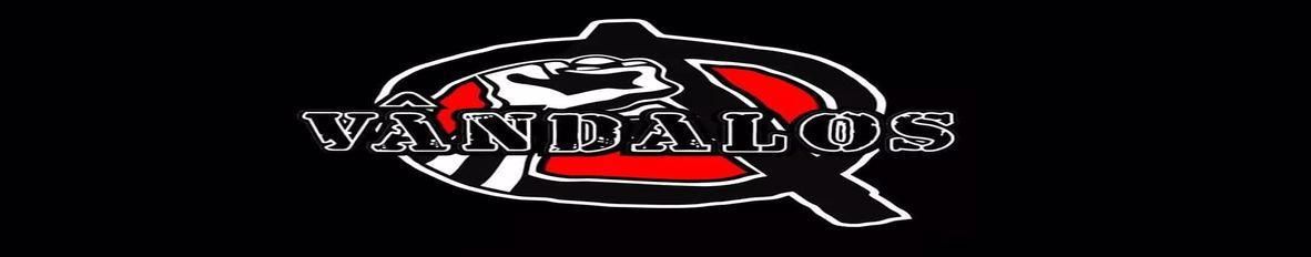 Imagem de capa de Vândalos Punk Rock @ficial banda