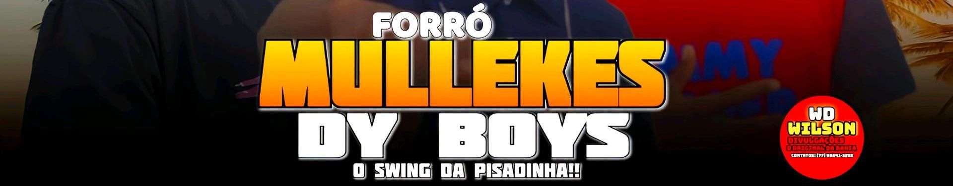 Imagem de capa de Forró Mullekes Dy Boys