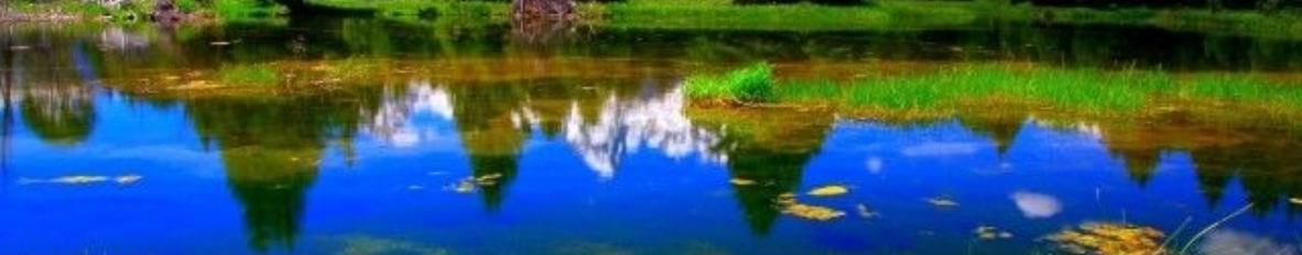 Imagem de capa de Tony Ramos