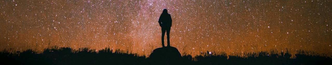 Imagem de capa de Noiseverse