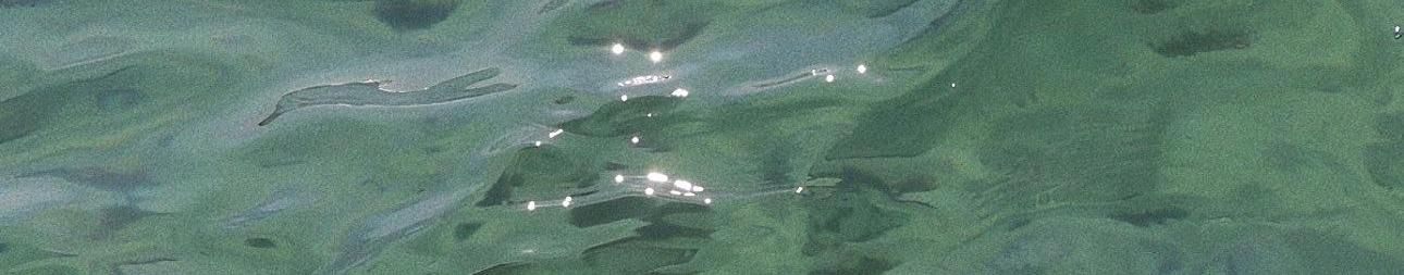 Imagem de capa de Thauan Darwin