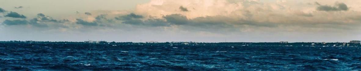 Imagem de capa de Os Barcos