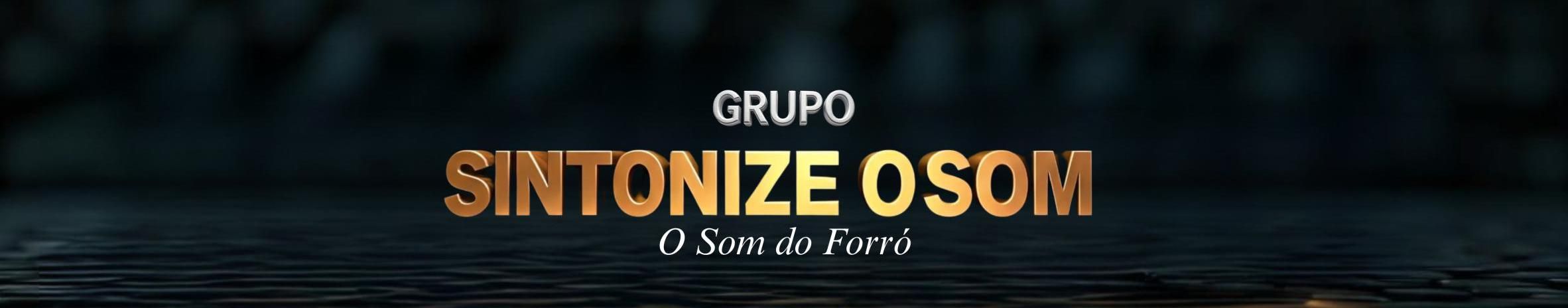 Imagem de capa de Grupo Sintonize o Som
