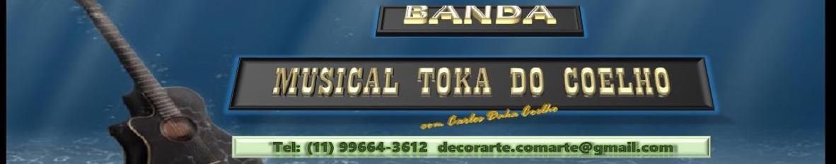 Imagem de capa de Banda Músical Toka do Coelho