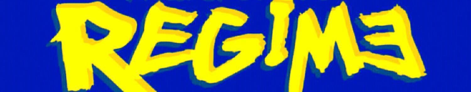 Imagem de capa de Projecto Novo Regime