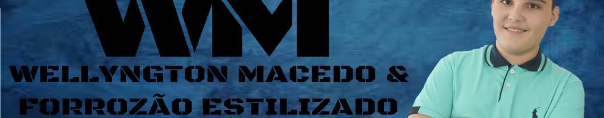 Imagem de capa de Wellyngton Macedo & Forrozão Estilizado