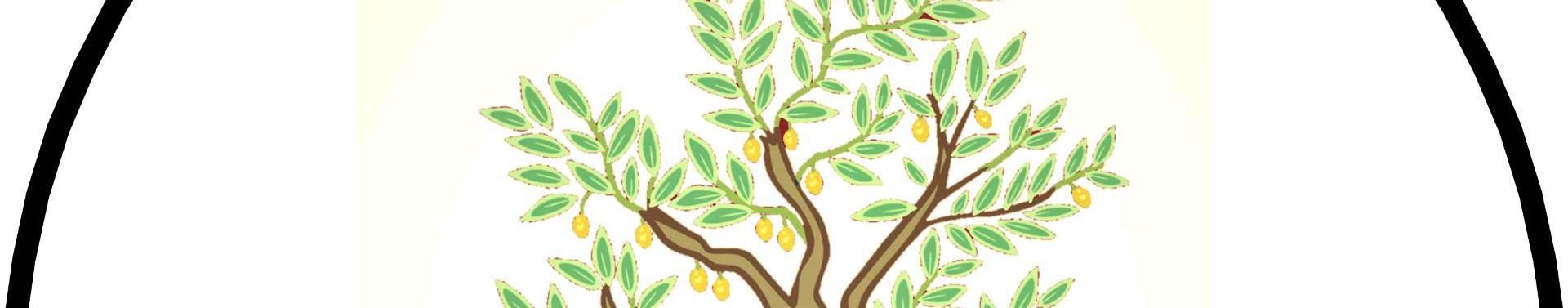 Imagem de capa de Oliveira Neto