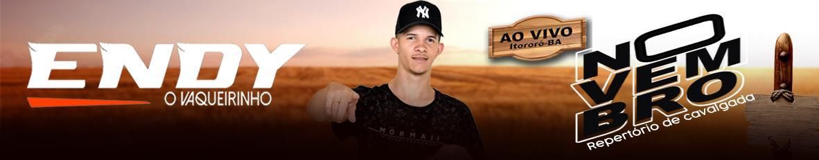 Imagem de capa de Endy o Vaqueirinho