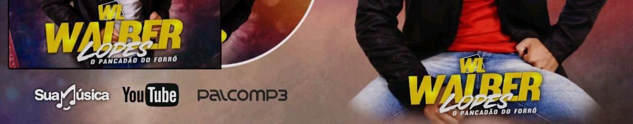 Imagem de capa de WALBER LOPES O Pancadão do Forró